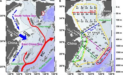 Dissolved Nitrous Oxide and Hydroxylamine in the South Yellow Sea and the East China Sea During Early Spring: Distribution, Production, and Emissions